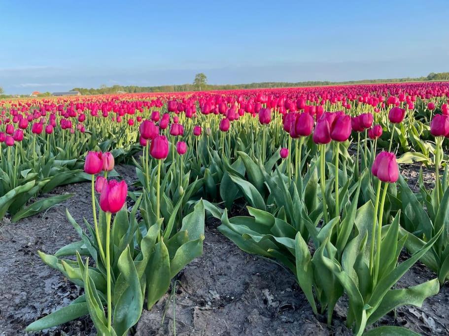 Luxe Met Prive Wellness Zuidwolde (Drenthe)